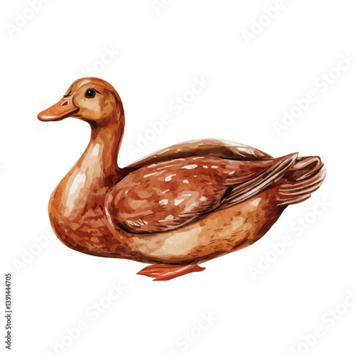 Peking Duck, watercolor illustration, isolated on a white background.

