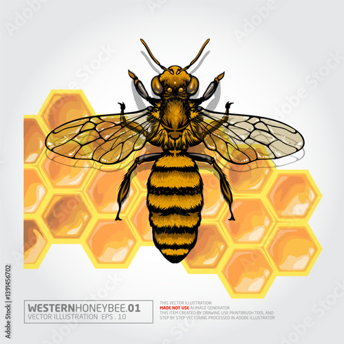 Western Honey Bee Vector Illustration. This a bee illustration cartoon character. Decorative bee sign. Vector mascot illustration.
