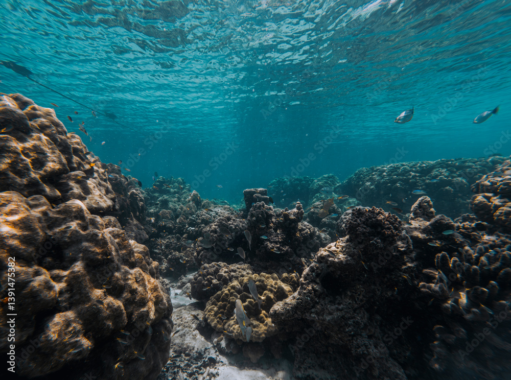 Fototapeta premium SCUBA DIVE THAILANDIA ISLAND KOH TAO KOH ROCK BEACH SNORKEL FLAG LONG BOAT