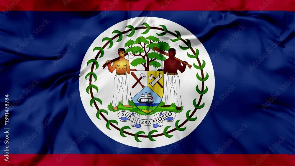 Belize Flag Waving in The Wind, Motion Animation Belize Flag 4K
