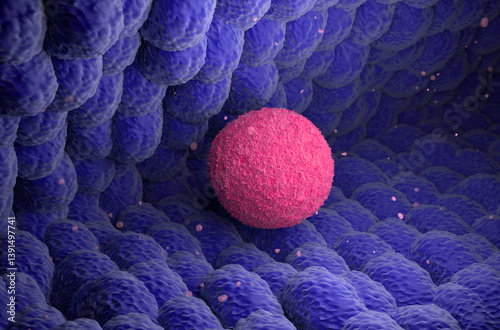 Human ovum (egg) move in Fallopian Tube - isometric view 3d illustration photo