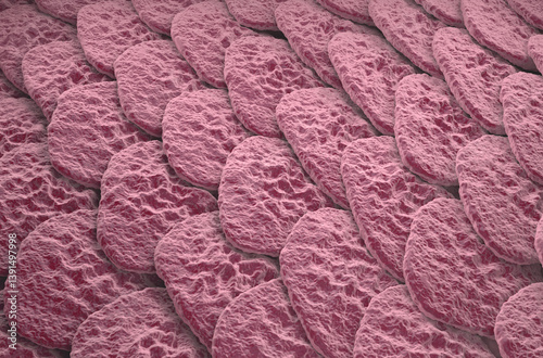 Healthy human skin (Epidermis) surface - isometric view 3d illustration