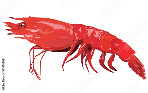 Bright Red Spanish Carabineros Shrimp