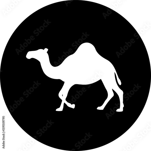 Camel silhouette set against dark backdrop evokes desert travel visuals