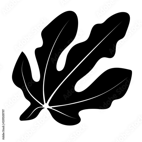 Silhouette of a Fig Leaf Showcasing Its Distinctive Shape and Intricate Details Against a Clear Background