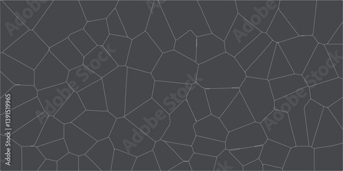 Abstract gray crystalized broken glass and white lines background   Generative algorithm psychedelic. Reaction-diffusion or truing pattern  stone slab smooth tile silver natural for interior decoratio