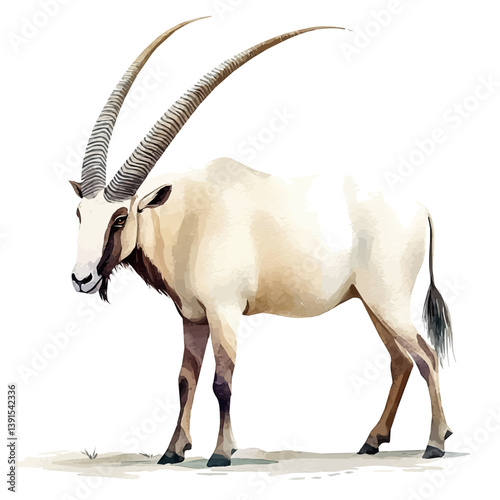 Oryx, watercolor illustration, isolated on a white background.

