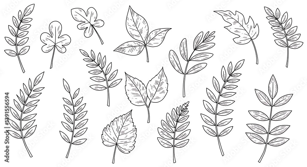Fototapeta premium Set of hand drawn leaf vector illustration, flower isolated graphic elements for your design