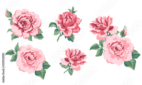 Roses vector illustration in rustic style. Vintage flower set on a white background. Wedding flower bundle. Collection of detailed hand-drawn watercolor roses.