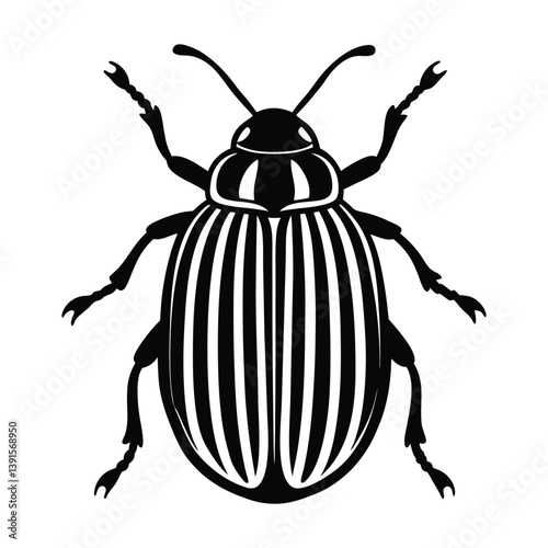 colorado potato beetle vector illustration