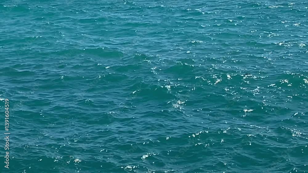 Calm blue ocean waves gently ripple across the surface, creating a serene and tranquil scene. The water showcases smooth textures and natural movement, evoking a sense of peace and relaxation