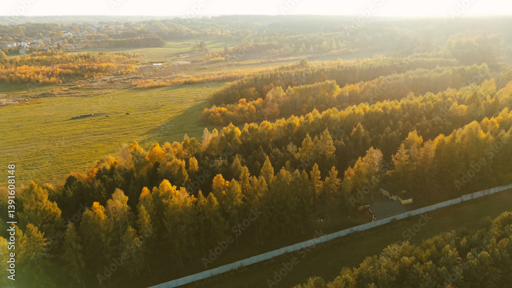 Nature in fall colors from above