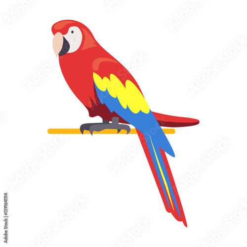 Macaw