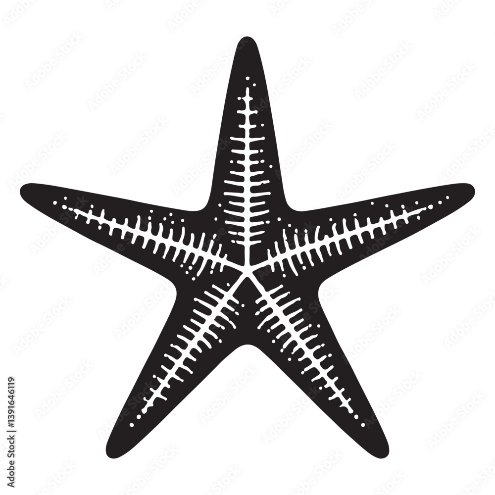 Obraz premium Detailed starfish vector illustration marine life aquatic creature graphic