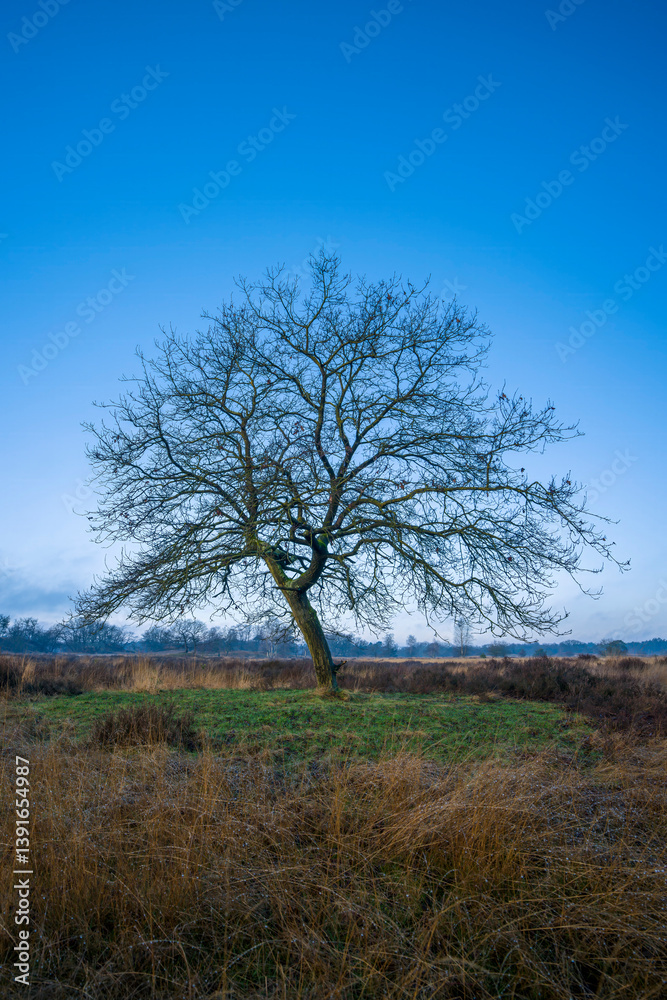 De Loonse en Drunense Duinen - Niederlande De Loonse en Drunense Duinen - Niederlande