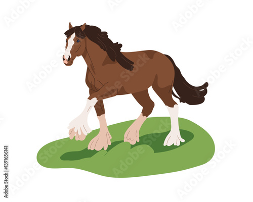 Draft heavy horse, Clydesdale breed. Stallion walking on grass. Shire, powerful equine animal with feathered legs. Workhorse on pasture. Flat vector illustration isolated on white background