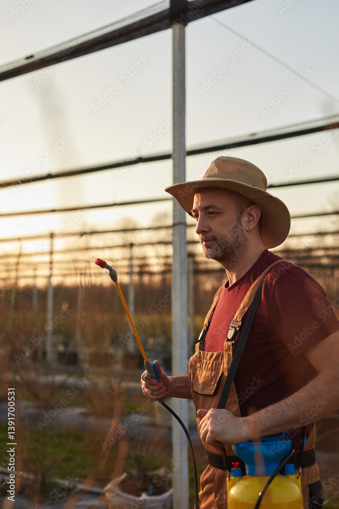Farmer using pesticide, insecticide and herbicide sprayer sprinkler in an blueberries farm outdoors in springtime, before blooming.
