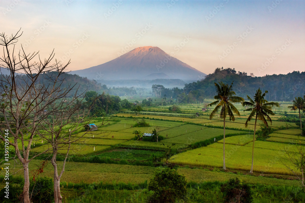 Fototapeta premium Mount Agung Bali