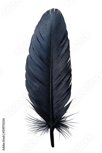 Detailed crow feather isolated on transparent background, high resolution black feather perfect for gothic design, natural decoration and wildlife illustration