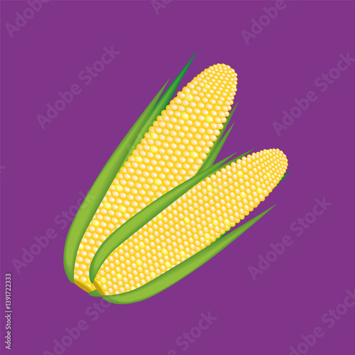 Bright, ripe, yellow corn cobs isolated on purple background. Vector corn, popcorn.