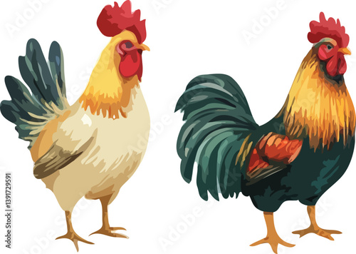 rooster vector art