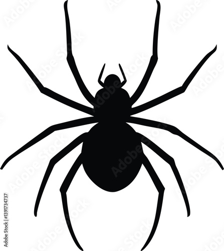 spider isolated on white background