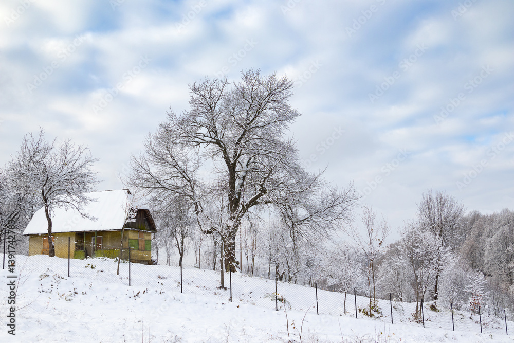 Fototapeta premium A small wooden cabin with a dark roof sits on a snow-covered hillside surrounded by frosted trees under a cloudy sky.