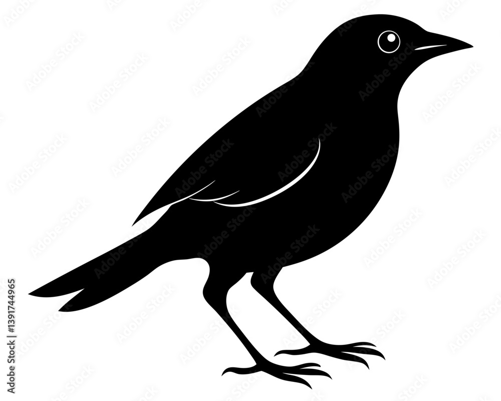 Fototapeta premium Songbird Silhouette Vector & Singing Bird SVG Design