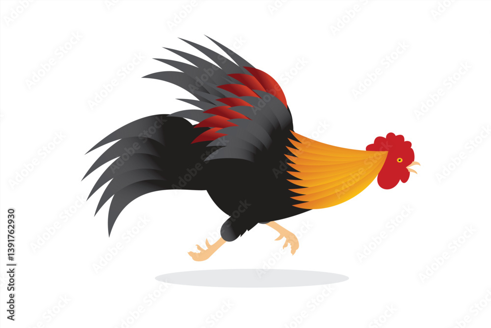 Obraz premium Rooster vector. Illustration of a running chicken on a white background