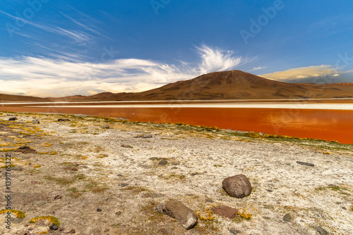 Laguna Colorada, Bolivia. The Red Lagoon, Sunny Day in Bolivia.