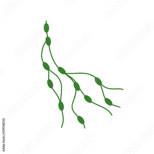 Lymph node cancer icon. Lymphocytic neoplasm sign. Vector illustration.