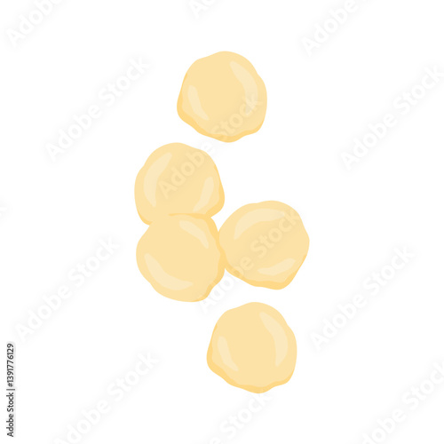 Delicious macadamia nuts. Vector illustration of healthy snacks.