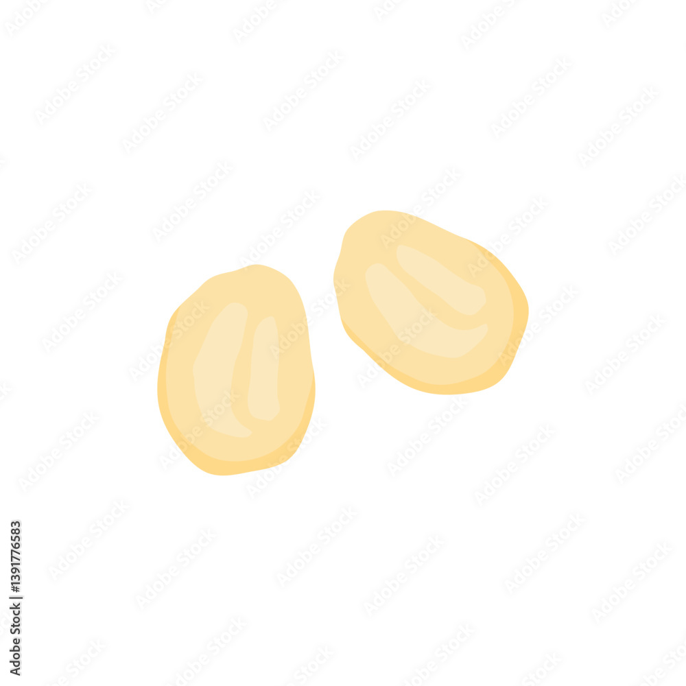 Fototapeta premium Delicious macadamia nuts. Vector illustration of healthy snacks.