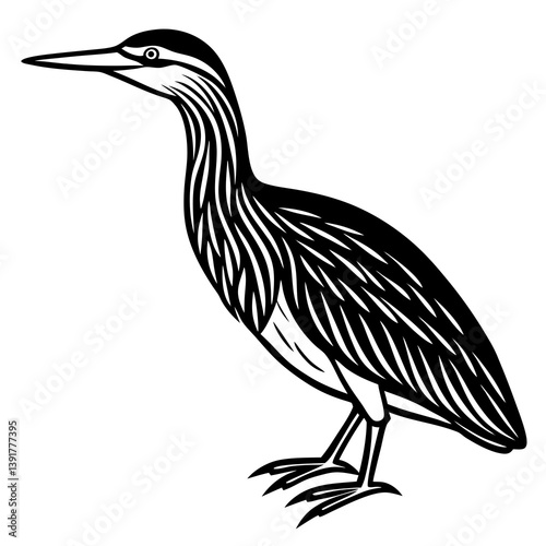 Bittern Line Art Vector Black and White Drawing Illustration Design