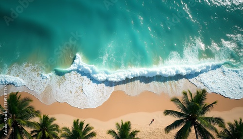 Top-down view of waves hitting sandy beach lined with palm trees and lone person walking
