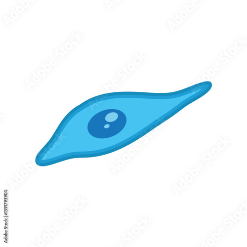 Mesenchymal stromal cell. Vector medical science illustration.