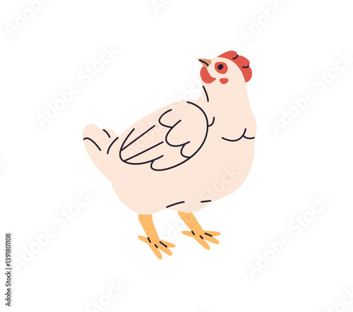 Cute village chicken stands. Funny hen in ranch, country. Feathered farm animal, domestic bird, poultry, fowl, livestock with plumage on barnyard. Flat isolated vector illustration on white background