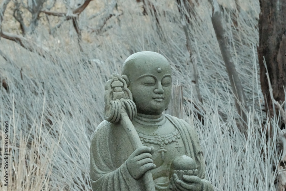 Fototapeta premium statue of buddha
