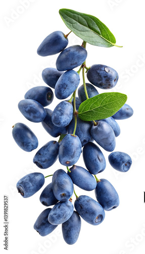 A bunch of ripe honeysuckle berries on the branch with green leaves isolated on Transprent Background