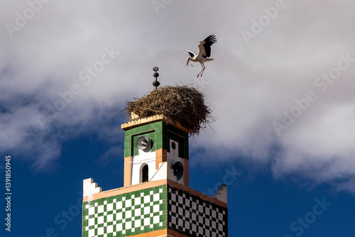 Ein fliegender Storch landet auf seinem Nest auf dem Turm einer Moschee