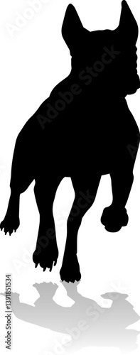 A detailed animal silhouett...