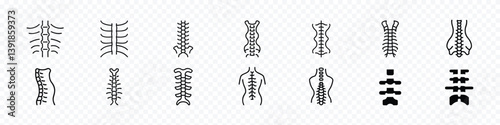 Spine icon set, Spine and Ribcage Icon Set - Minimalist Human Anatomy, Spine diagnostics symbol design, Spine bone glyph icon, spine Bones silhouette icon, Spine Back Bone vector icon