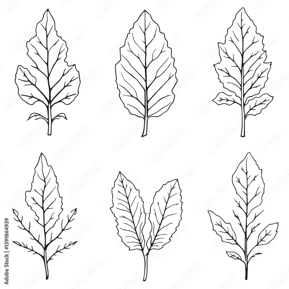 Obraz premium Elegant Cassava Leaf Vector Line Art Design