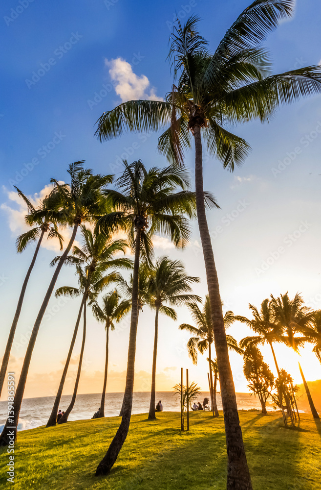 Coucher de soleil sous les cocotiers de Grand’Anse, Île de la Réunion Coucher de soleil sous les cocotiers de Grand’Anse, Île de la Réunion