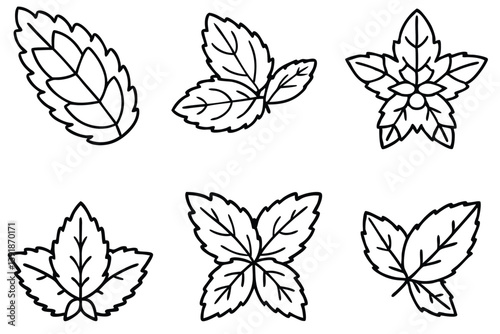 Mint Leaf Line Art Simple Sketch for Artistic Design Print  
