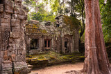 Angkor ancient temple ruins in Cambodia