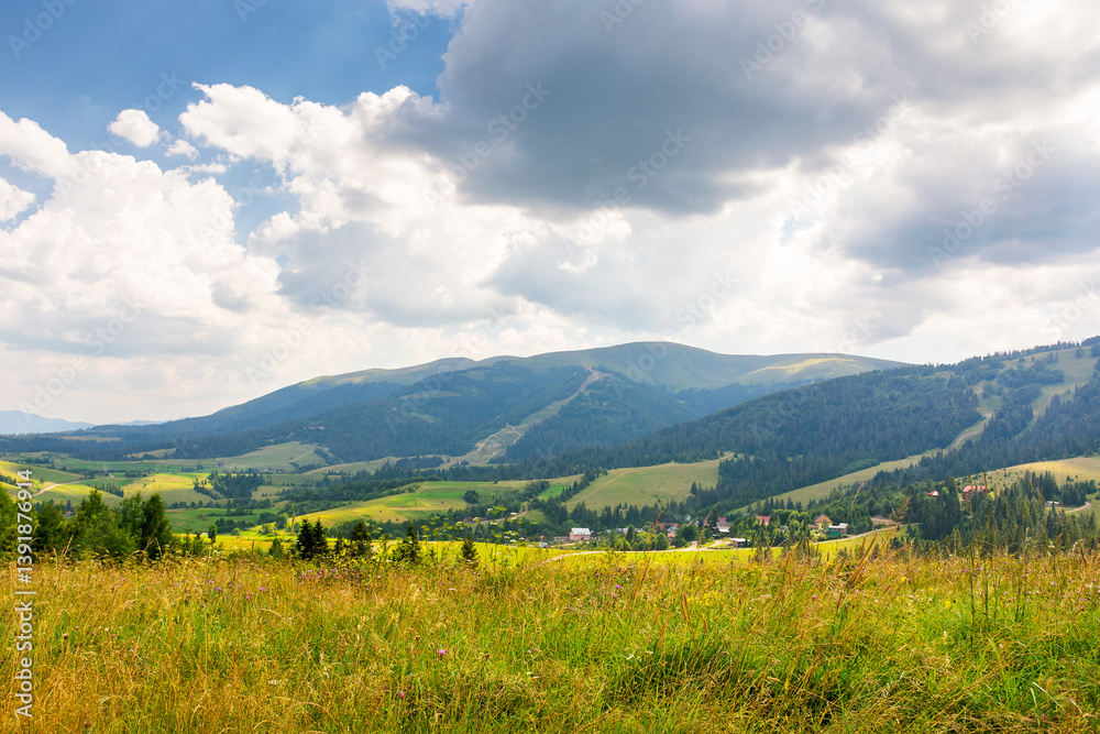 mountainous carpathian countryside landscape. picturesque rural valley. grassy alpine meadow under blue sky with fluffy clouds. forest on hill. summer vacations in highlands of ukraine on a sunny day
