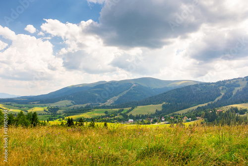 Obraz na płótnie mountainous carpathian countryside landscape. picturesque rural valley. grassy alpine meadow under blue sky with fluffy clouds. forest on hill. summer vacations in highlands of ukraine on a sunny day w salonie