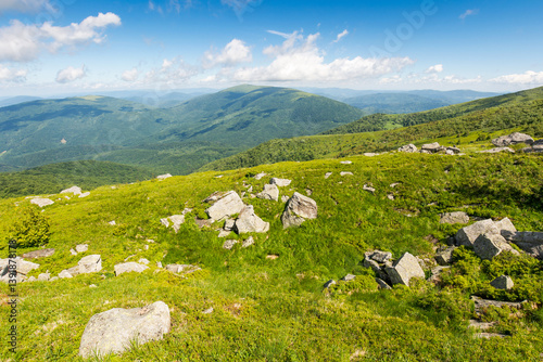 green alpine hills and slopes in summer. landscape with stones and boulders among the grass under a blue sky with clouds. travel background. scenic vacations in mountains of ukraine on a sunny morning