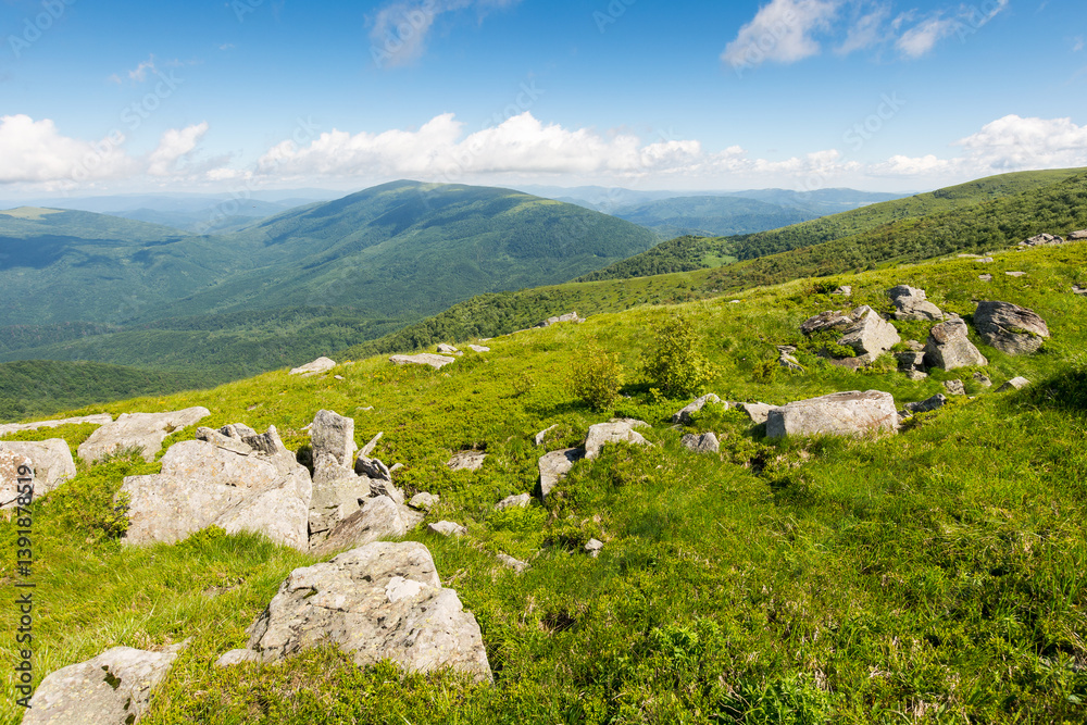 green alpine hills and slopes in summer. landscape with stones and boulders among the grass under a blue sky with clouds. view in to valley scenic vacations in mountains of ukraine on a sunny morning